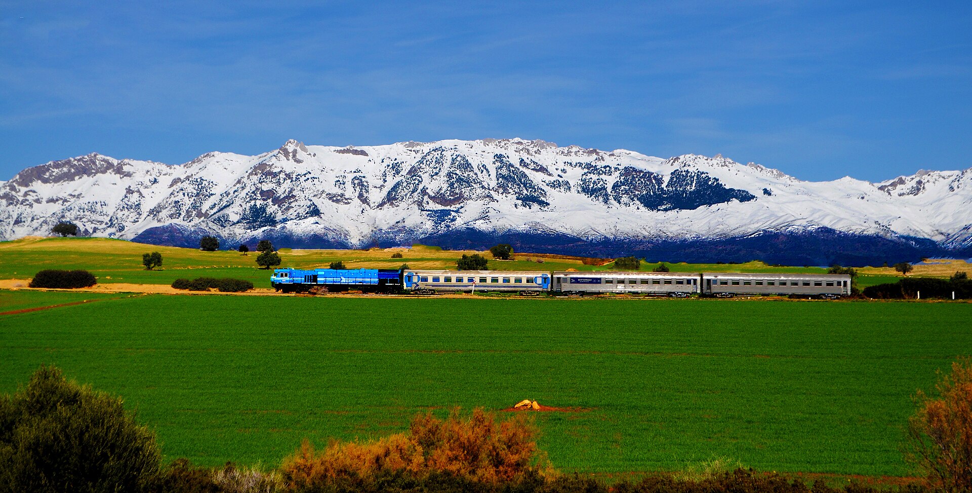 Train in El Asnam, on the Algiers-Skikda line.